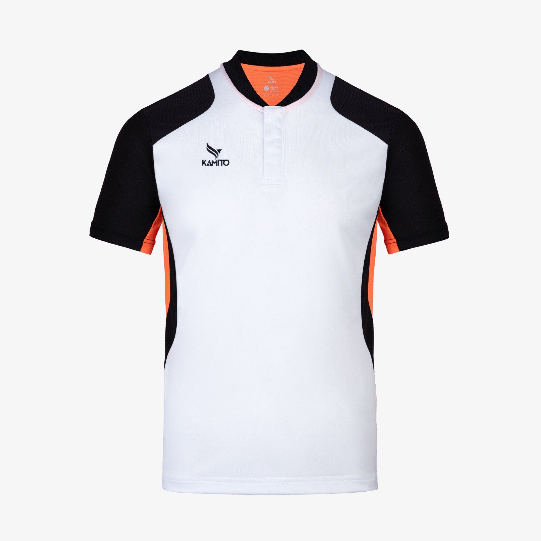 t10_1__ao_standard_v2-09_6cc8f373abdd40129fe909e057c5b4a3_master