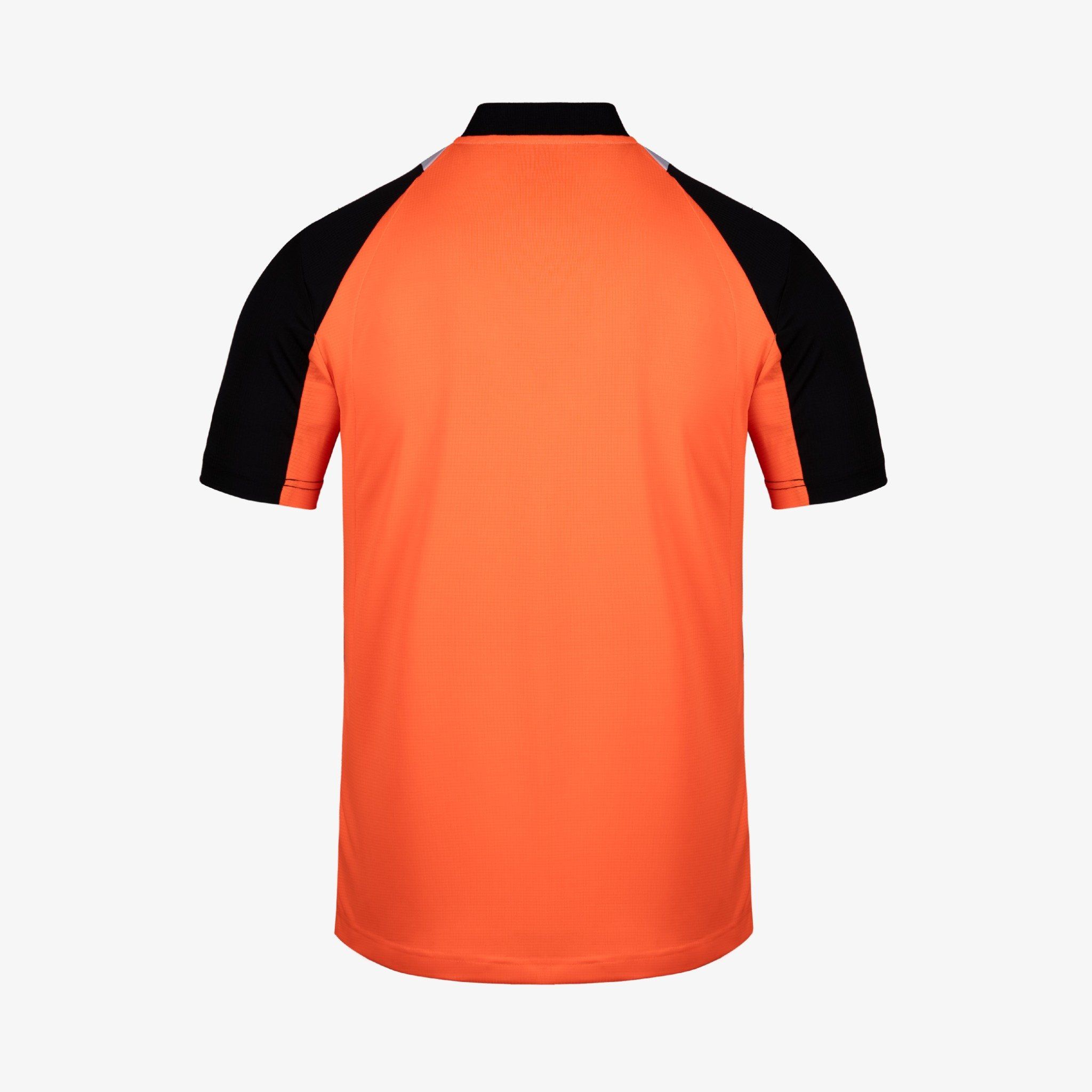 t10_1__ao_standard_v2-10_216fdbbd93e744bd9600e594e67a7f9b_master