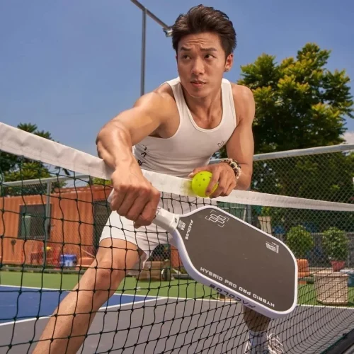 Facolos Hybrid pro 999